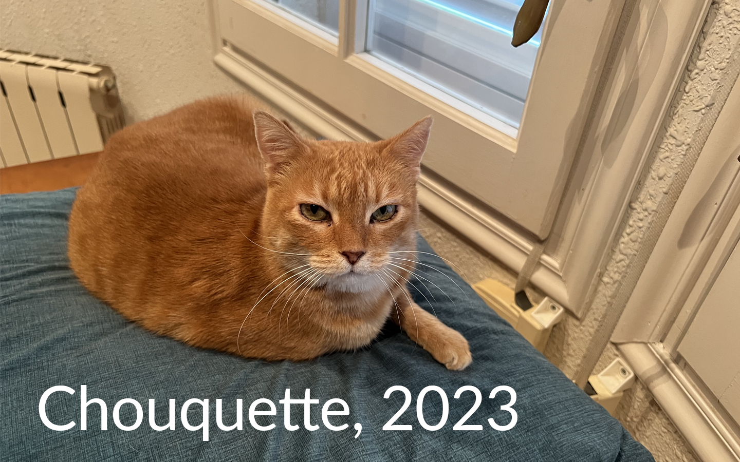 Chouquette