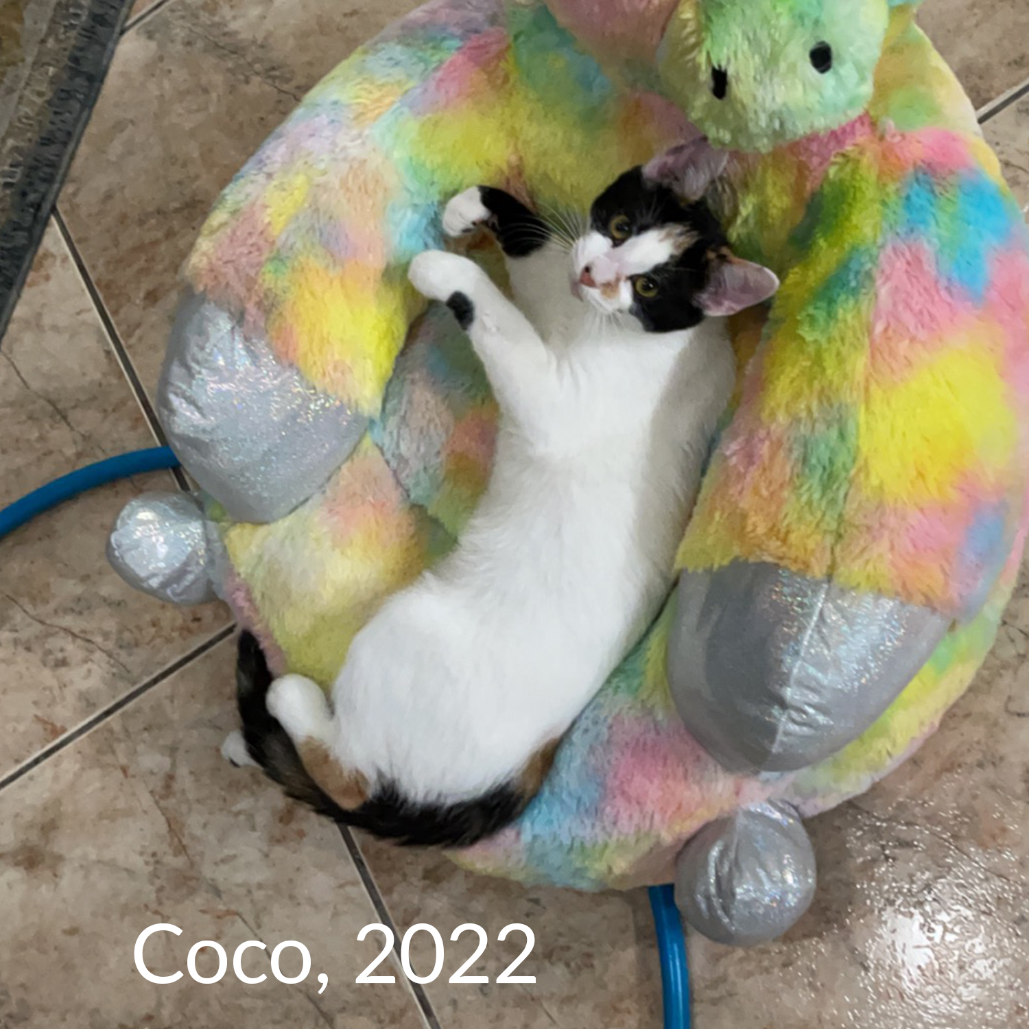 Coco